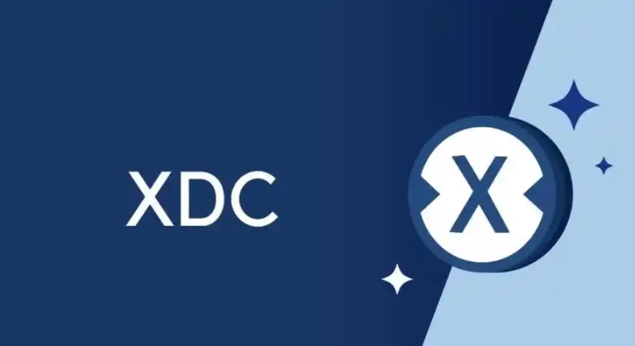 5个最佳的xdc存储工具:优缺点以及如何使用介绍 - 创想鸟