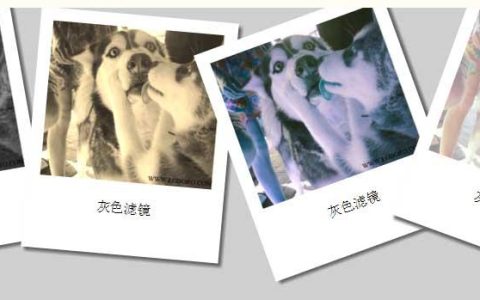 css3的过滤效果的简单示例