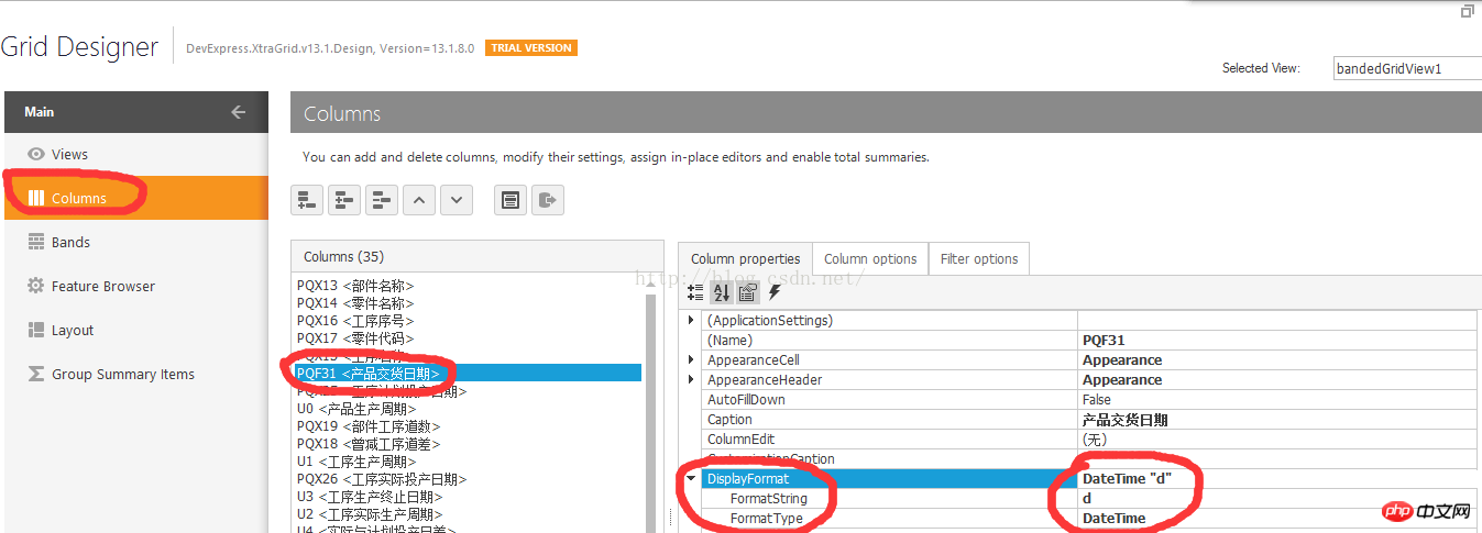 c#DevExpress gridcontrol日期行的显示格式设置详解（图文）