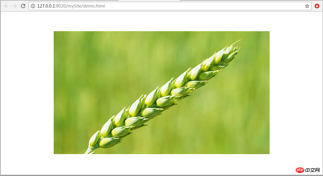css3中关于transform属性实现div不定宽高垂直水平居中的详细介绍 css3中关于transform属性实现div不定宽高垂直水平居中的详细介绍