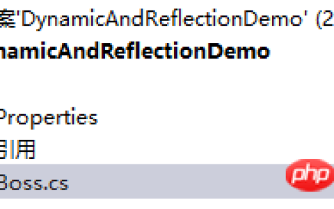 C#中关于反射和dynamic最佳组合的示例分享