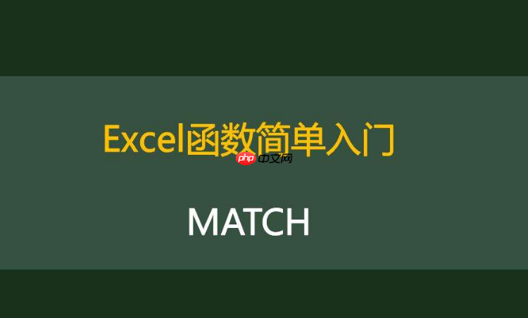 match函数与枚举类型的匹配_枚举类型match函数匹配教程-1